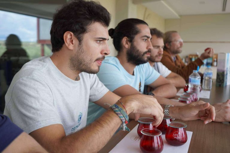 Aires de Jaén, un aceite de oliva que reúne calidad y tradición - corporate.es