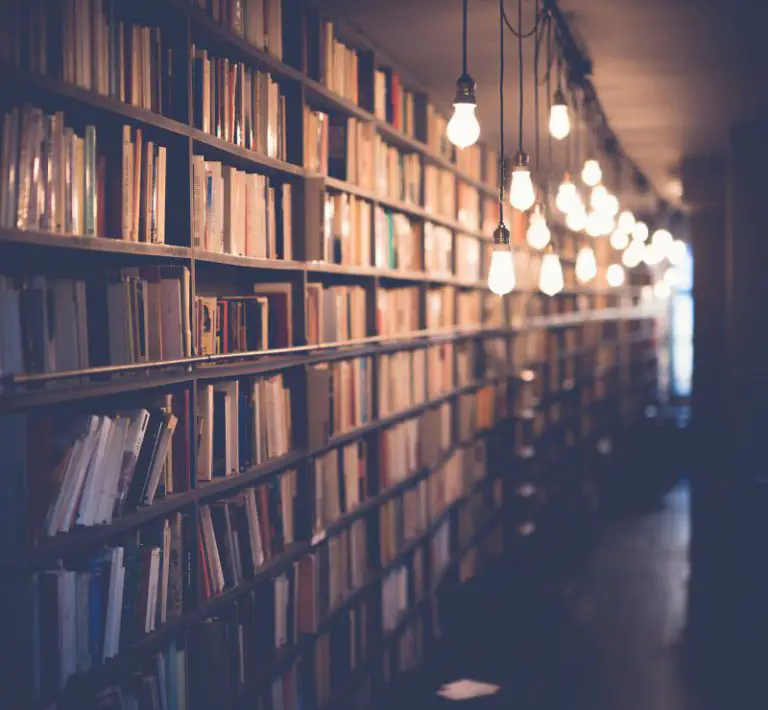 Encontrar bibliotecas, universidades o museos más cercanos gracias a Ludico Business - corporate.es