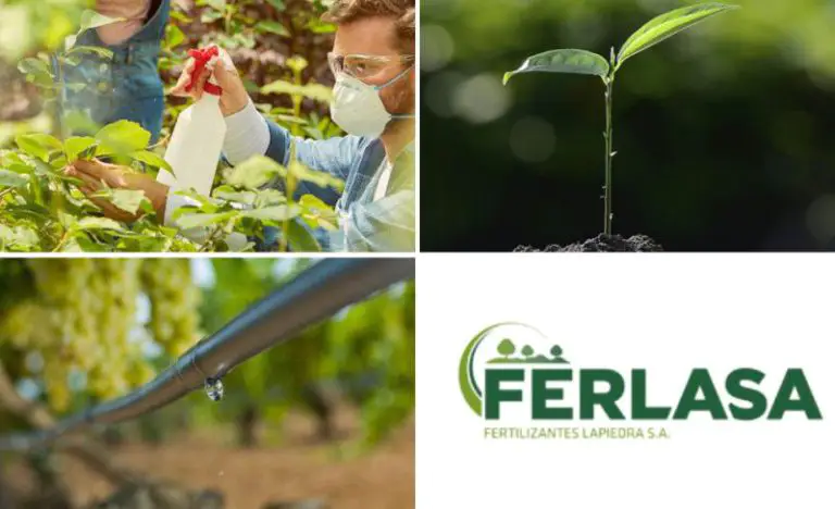 FERLASA consolida su plan estratégico de crecimiento y mantiene su colaboración con la consultoría CEDEC - corporate.es