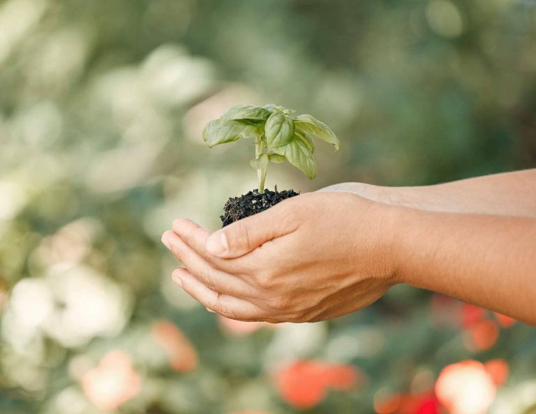 Huella de carbono 0 % para 2030, el objetivo de PENETRON, por ClauniCanarias - corporate.es