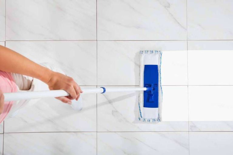 La empresa EcoCleans ofrece servicios de limpieza a domicilio - corporate.es